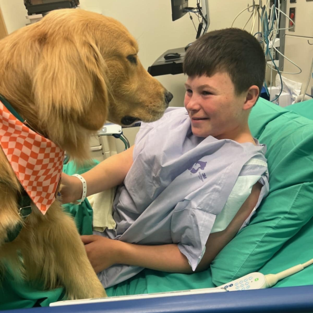 Cooper and facility dog Nacho in a hospital bed