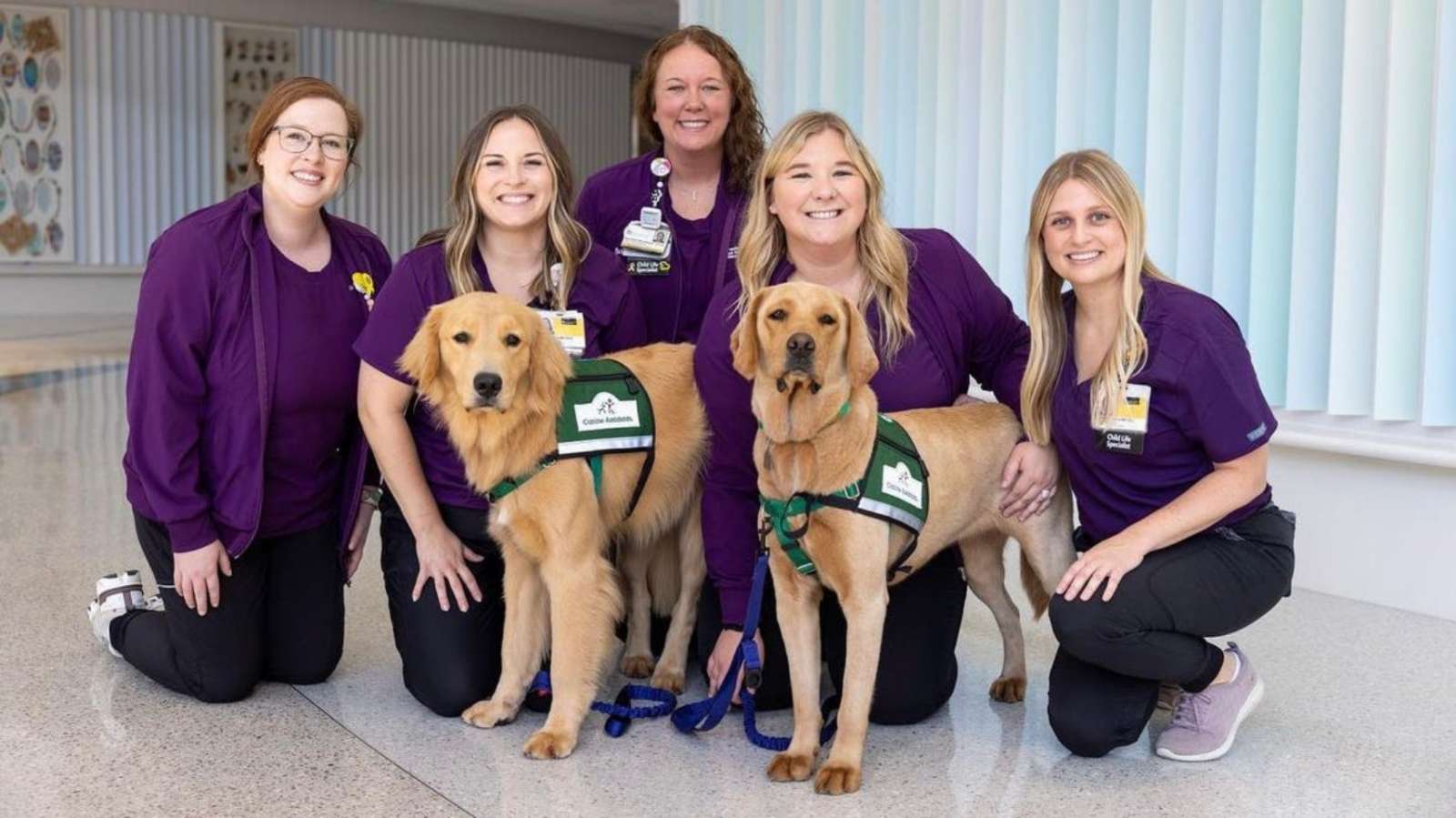 Facility Dogs Nacho and Corrin with the Childlife Specialist Teams